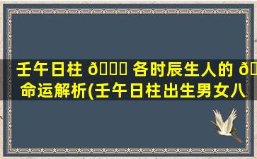 壬午日柱 🐒 各时辰生人的 🌼 命运解析(壬午日柱出生男女八字命运)